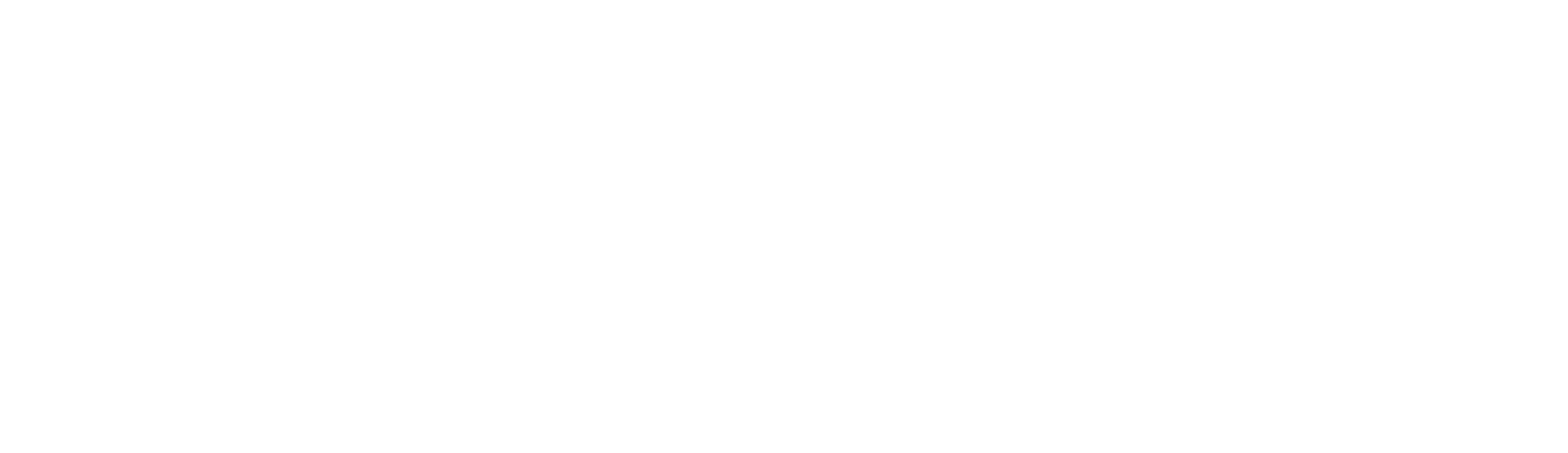 winsonics-logo